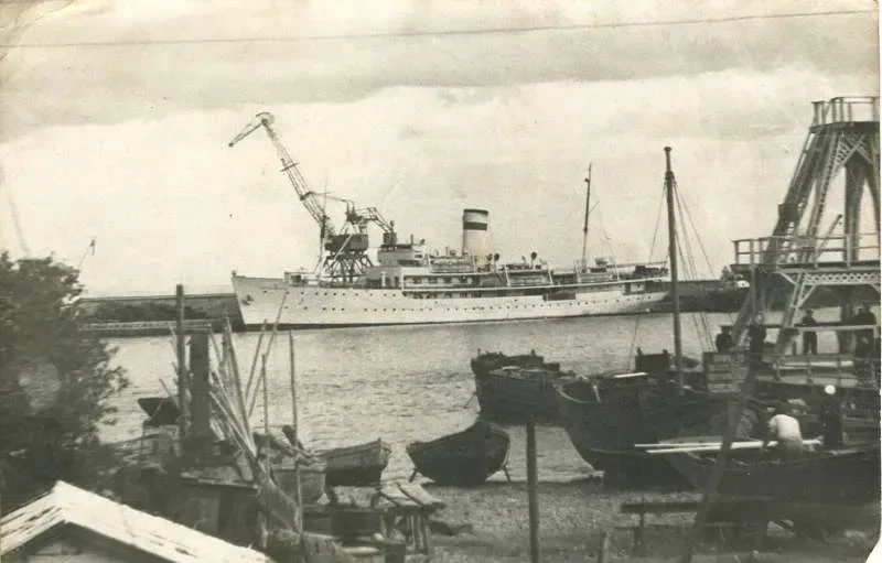 PETRODVORETS Passenger Ship IMO 5276379