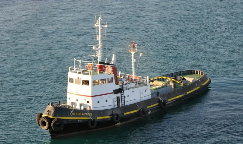 MINOTAVROS General Cargo IMO 5279967 photo 4