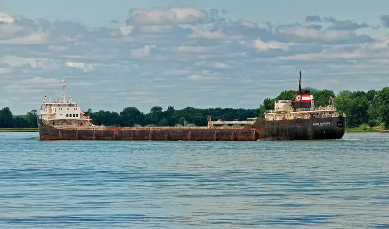 ALGOMA QUEBECOIS Bulk Carrier IMO 5287847 photo 6
