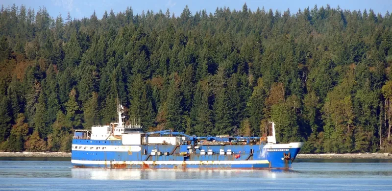 INDEPENDENCE General Cargo IMO 5290911 photo 5