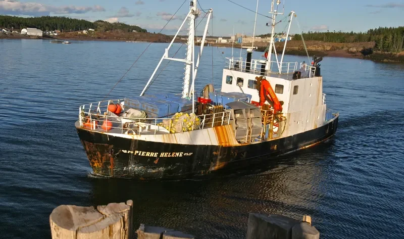 PIERRE HELENE General Cargo IMO 5292476 photo 3
