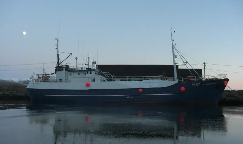 VESTLINER General Cargo IMO 5293688