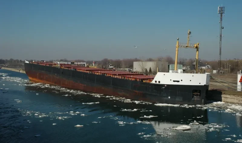 WINDOC Bulk Carrier IMO 5293872 photo 2