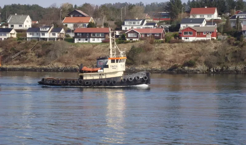 TINTO General Cargo IMO 5301265 photo 8