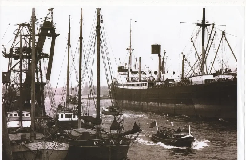 GOLD FISH II General Cargo IMO 5301978 photo 2