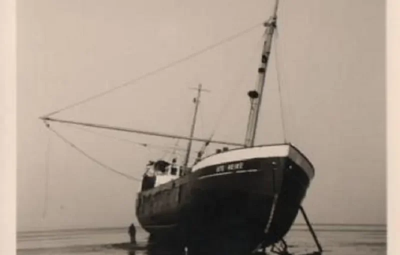 GOLD FISH II General Cargo IMO 5301978 photo 6