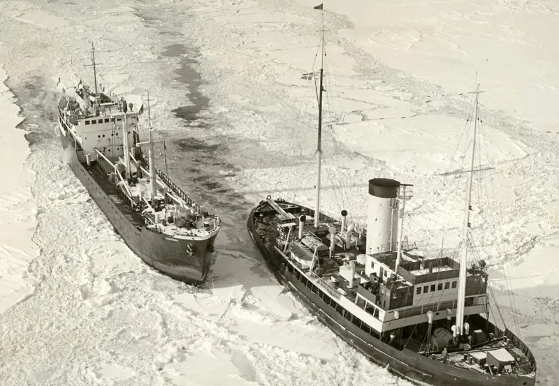 SAAREMAA General Cargo IMO 5304188