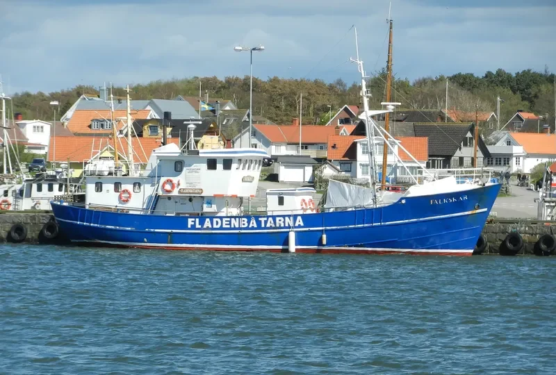 FALKSKAR II General Cargo IMO 5305302 photo 10