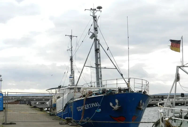 SCHWERTWAL General Cargo IMO 5315694 photo 2