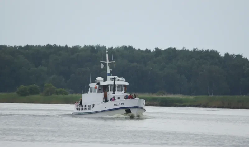 SEEADLER General Cargo IMO 5317197 photo 4