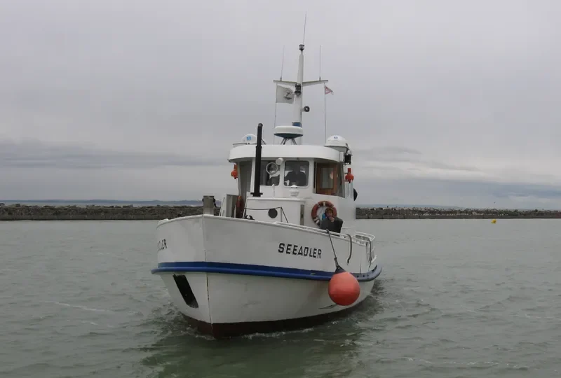 SEEADLER General Cargo IMO 5317197 photo 5