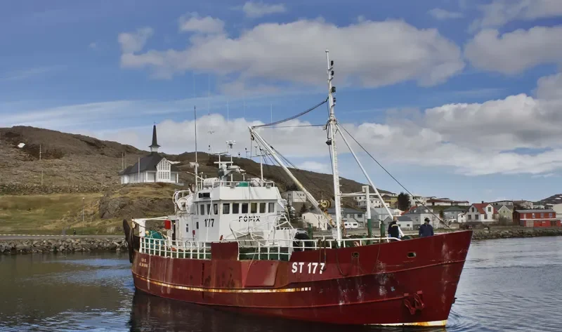 FONIX General Cargo IMO 5319690