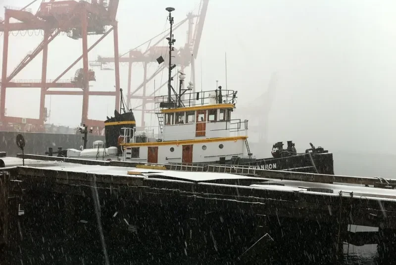 SHANNON General Cargo IMO 5321784 photo 5