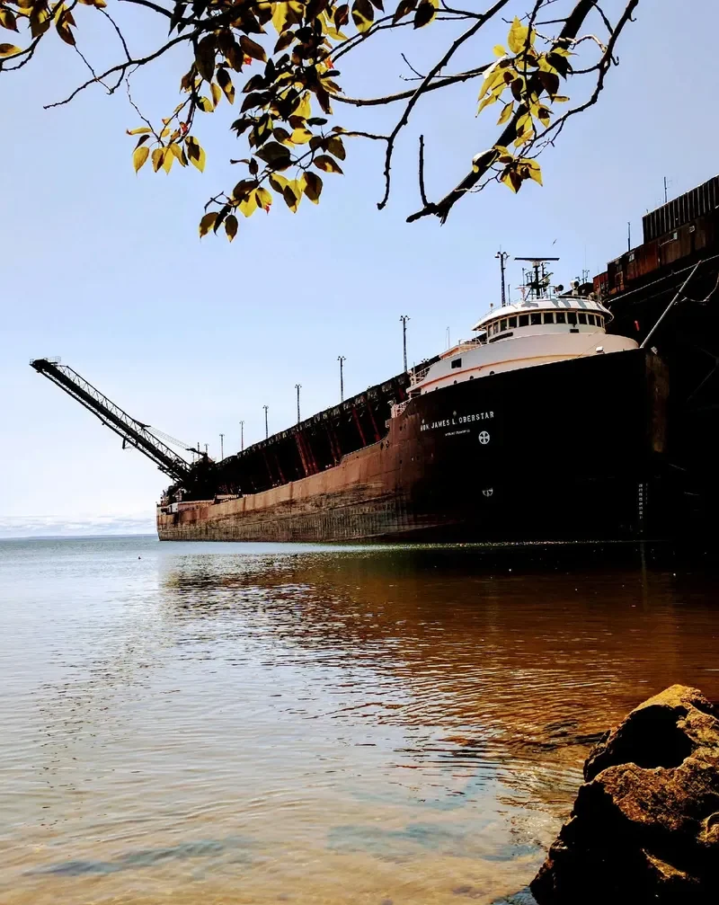 HON.JAMES L.OBERSTAR Bulk Carrier IMO 5322518 photo 6