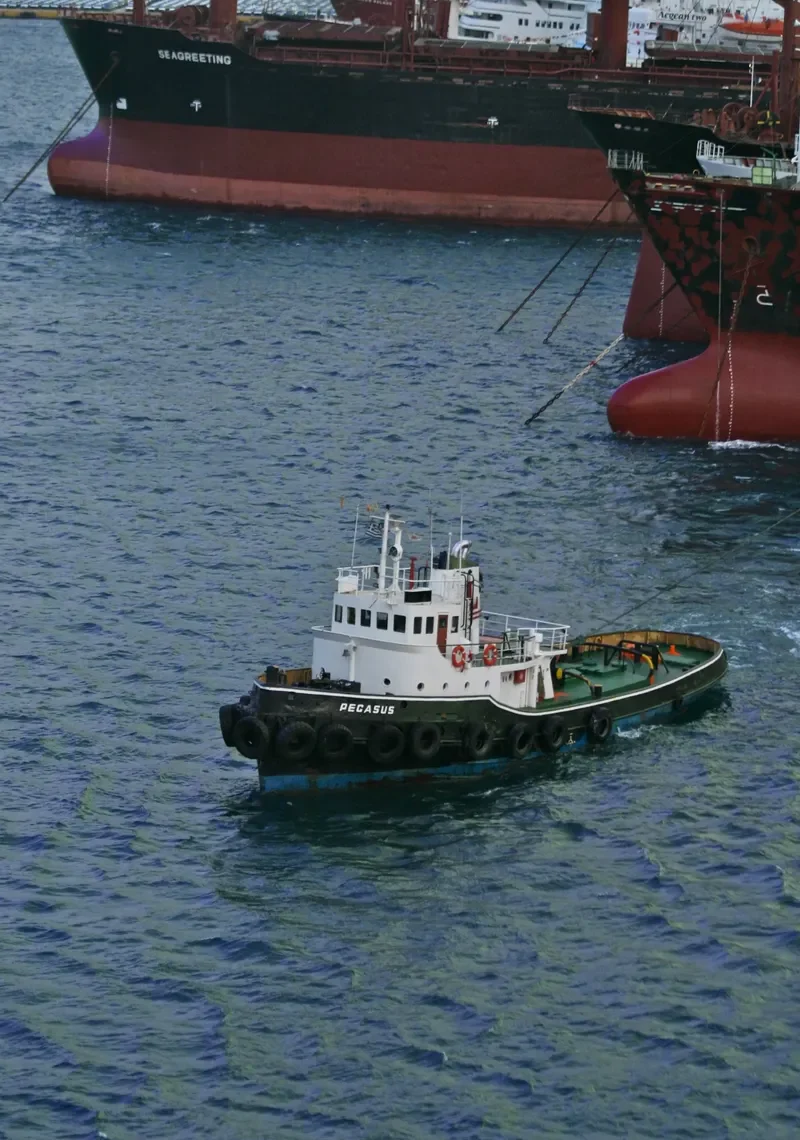 PEGASUS General Cargo IMO 5328861