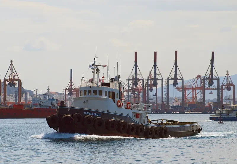 PEGASUS General Cargo IMO 5328861 photo 3