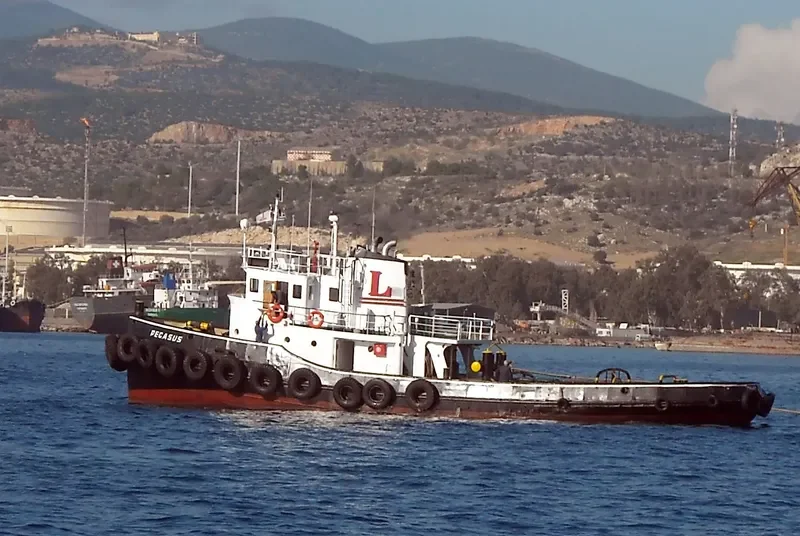 PEGASUS General Cargo IMO 5328861 photo 9