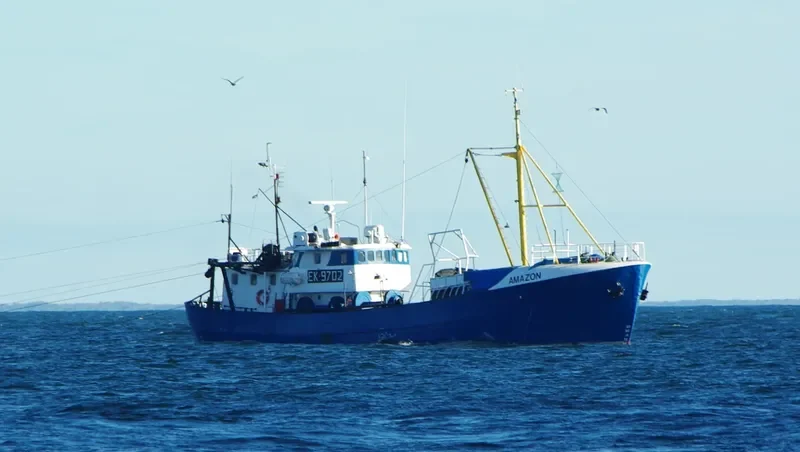 AMAZON General Cargo IMO 5341112 photo 3