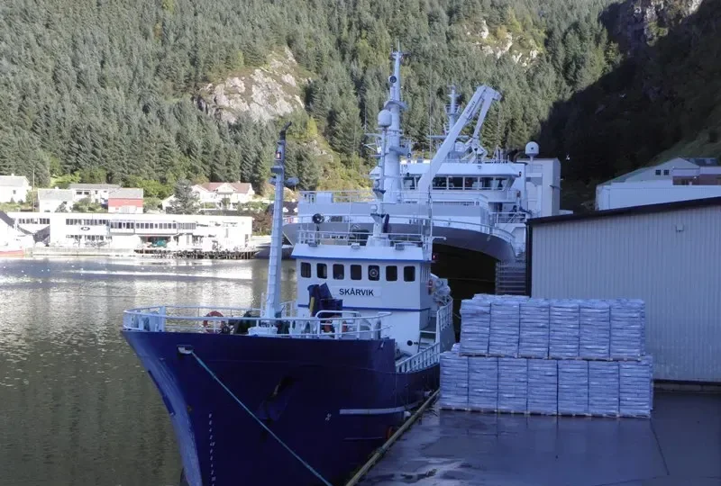 ASPER MALENE General Cargo IMO 5344695 photo 6