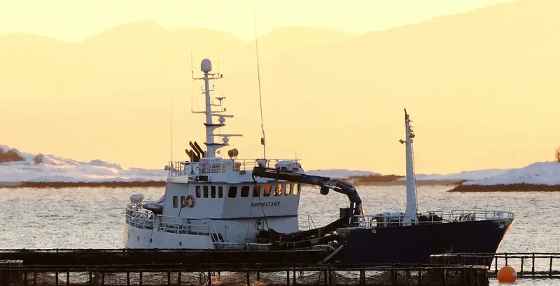ASPER MALENE General Cargo IMO 5344695 photo 9