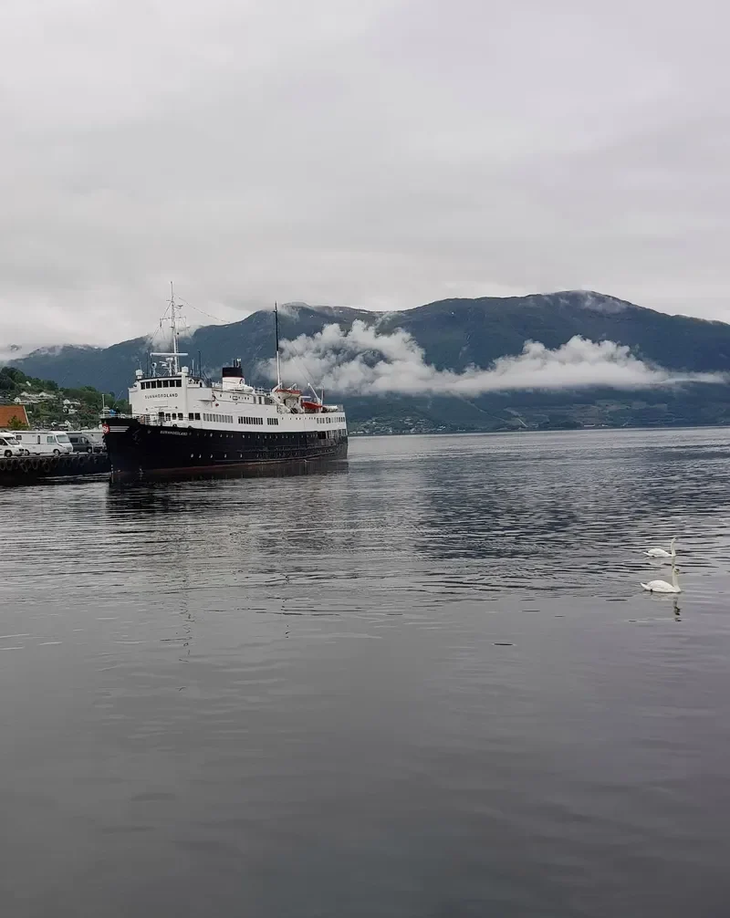 SUNNHORDLAND Passenger Ship IMO 5345065 photo 4