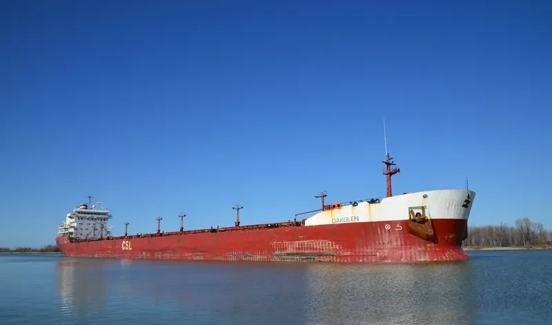 OAKGLEN Bulk Carrier IMO 5347996 photo 2