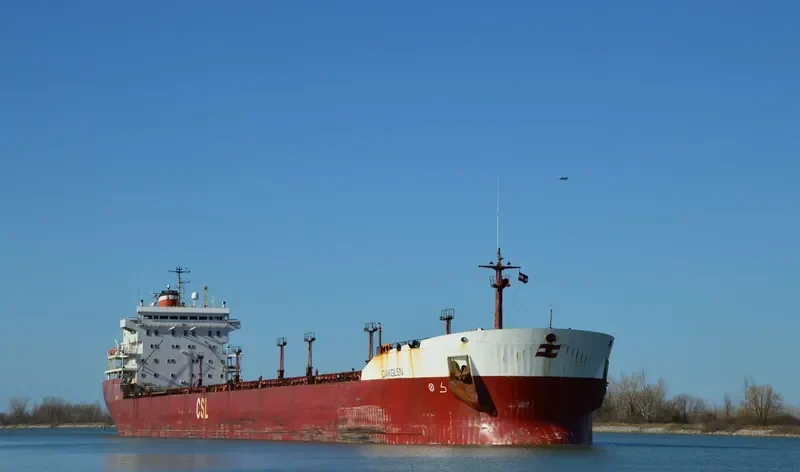 OAKGLEN Bulk Carrier IMO 5347996 photo 3