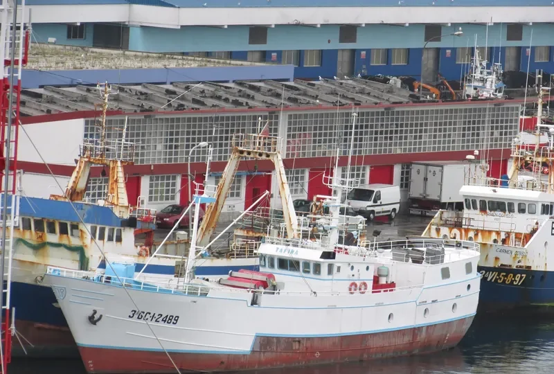 TAFIRA General Cargo IMO 5348512 photo 3
