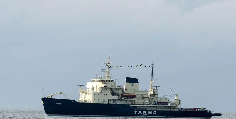 TARMO General Cargo IMO 5352886