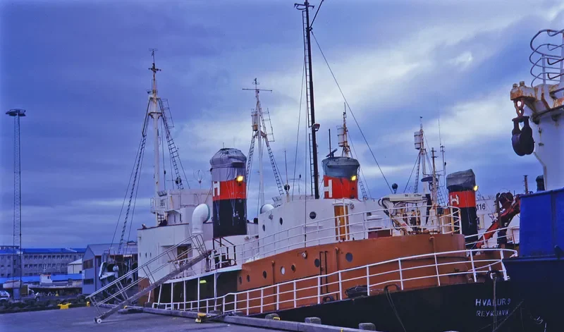 HVALUR 9 General Cargo IMO 5361148 photo 3