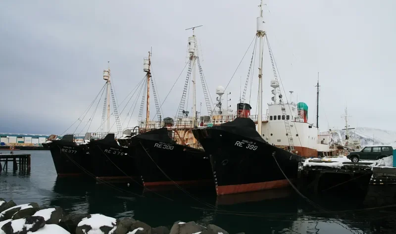HVALUR 9 General Cargo IMO 5361148 photo 10