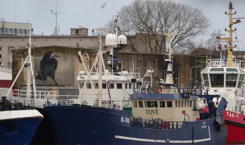 TOVE General Cargo IMO 5362087
