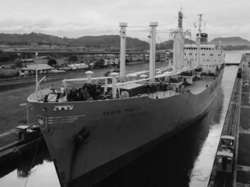 NEW STALLION General Cargo IMO 5367934