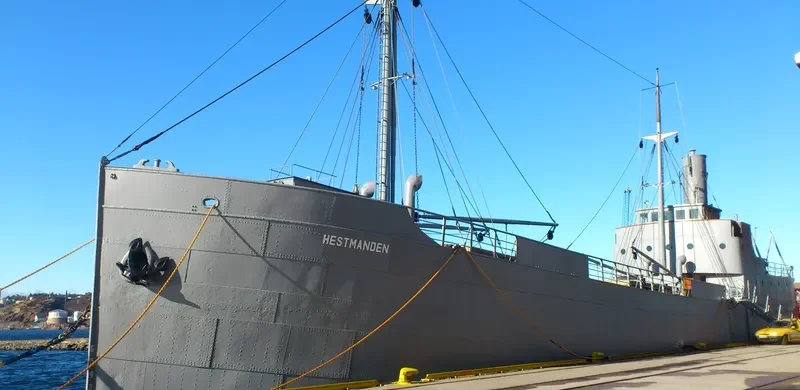 HESTMANDEN General Cargo IMO 5377525 photo 10