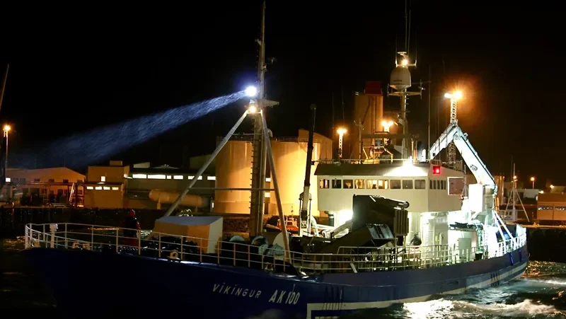 VIKINGUR General Cargo IMO 5380417 photo 7