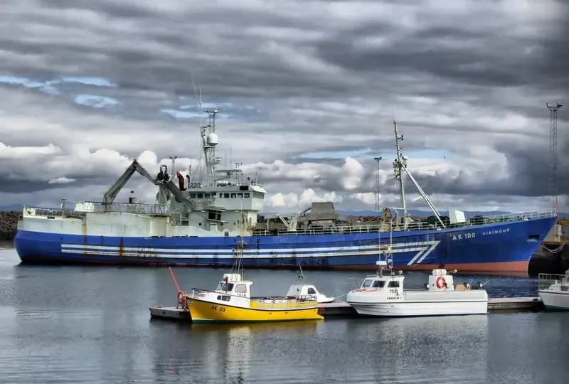 VIKINGUR General Cargo IMO 5380417 photo 9