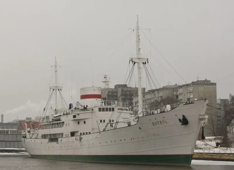 VITYAZ General Cargo IMO 5382609