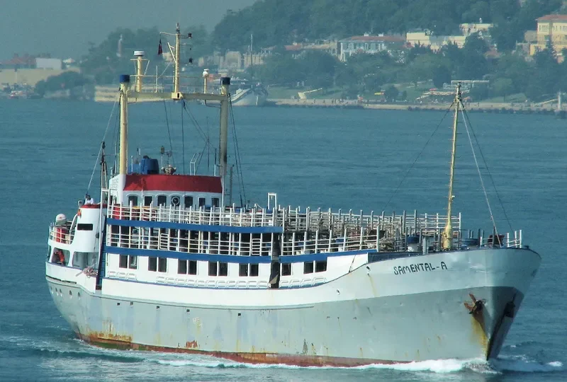 SAMENTAL A General Cargo IMO 5387831 photo 4