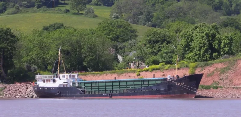 ALTEA General Cargo IMO 5388512 photo 3
