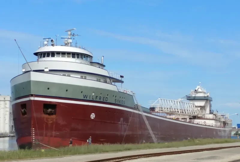 WILFRED SYKES Bulk Carrier IMO 5389554 photo 4