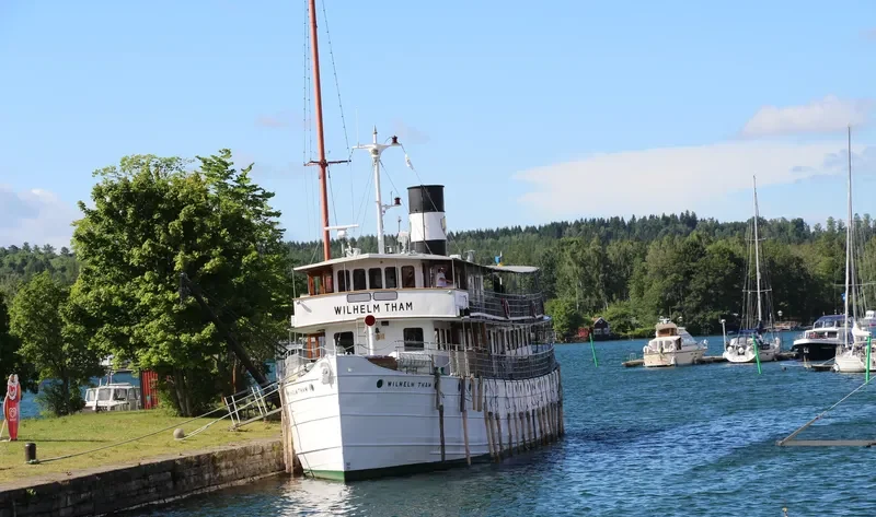 WILHELM THAM Passenger Ship IMO 5389671 photo 8