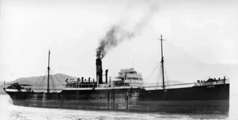 ZEUS General Cargo IMO 5398696
