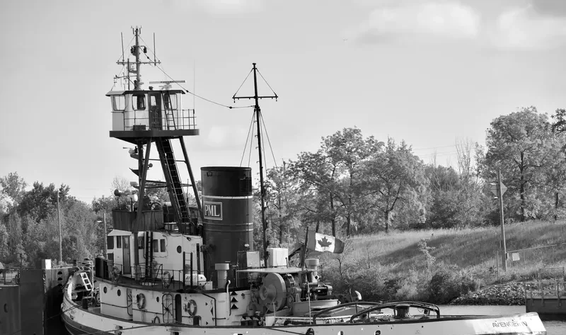 AVENGER IV General Cargo IMO 5401297