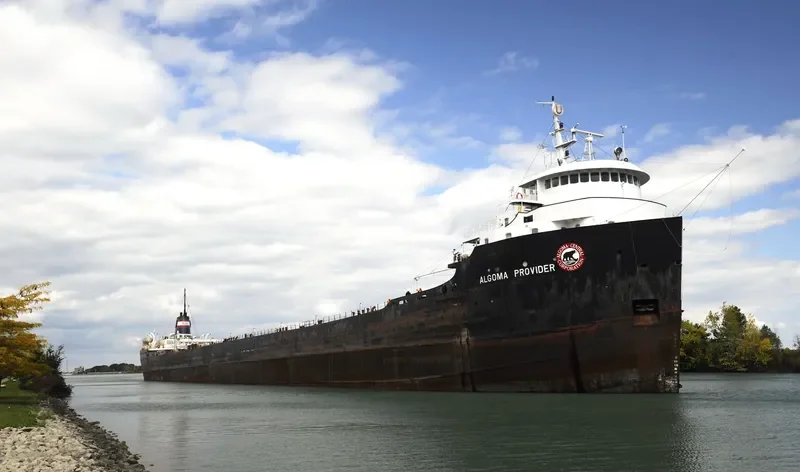 OVI Bulk Carrier IMO 5407277 photo 2