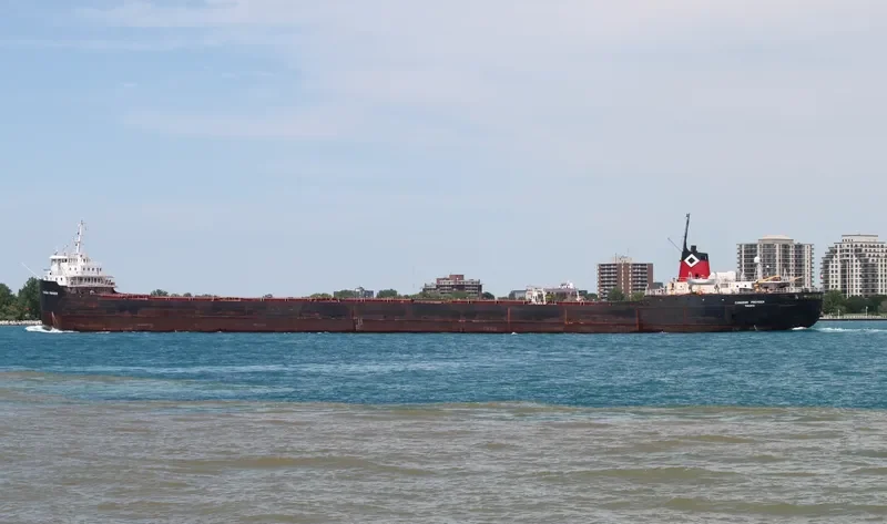 OVI Bulk Carrier IMO 5407277 photo 7