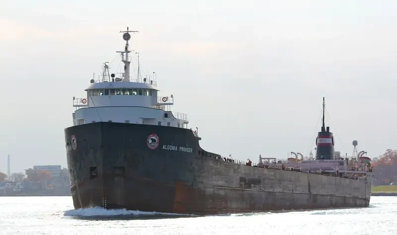 OVI Bulk Carrier IMO 5407277 photo 10