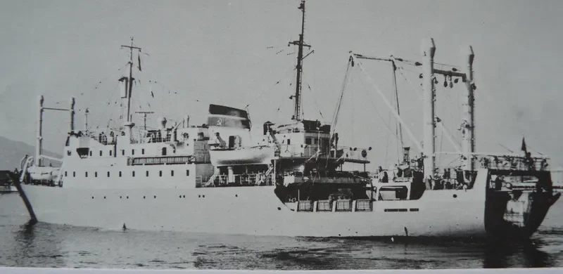 SHOTA RUSTAVELI General Cargo IMO 5413563