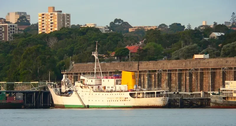 CAPE DON General Cargo IMO 5415169