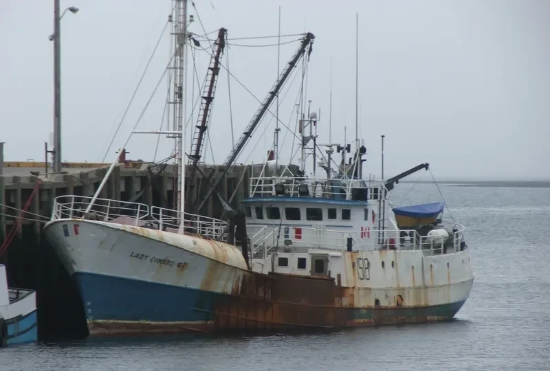 LADY COMEAU II General Cargo IMO 5418719 photo 7