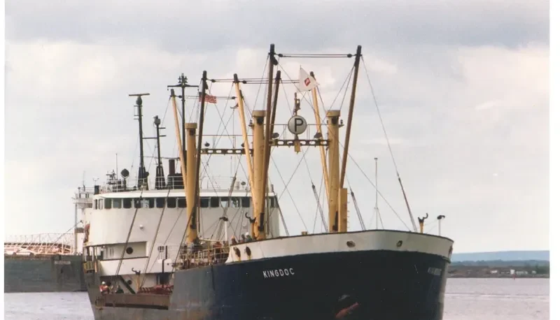 BLUE MOON General Cargo IMO 5420853